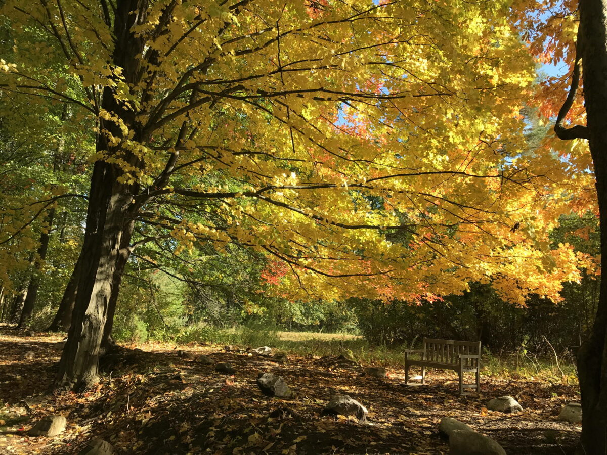 White Haven Memorial Cemetery Hike, Pittsford @ Pittsford | New York | United States
