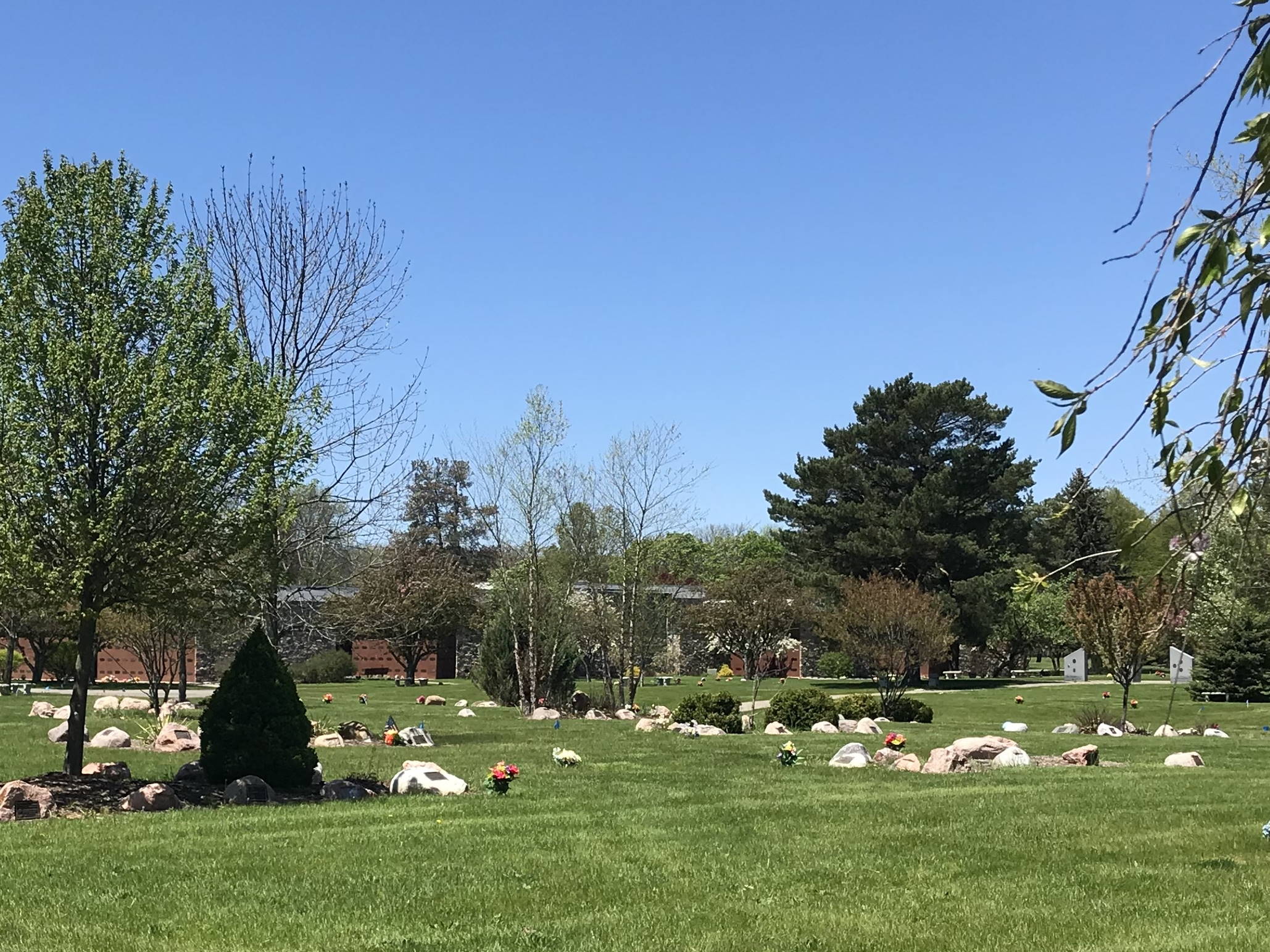 rock-lawn