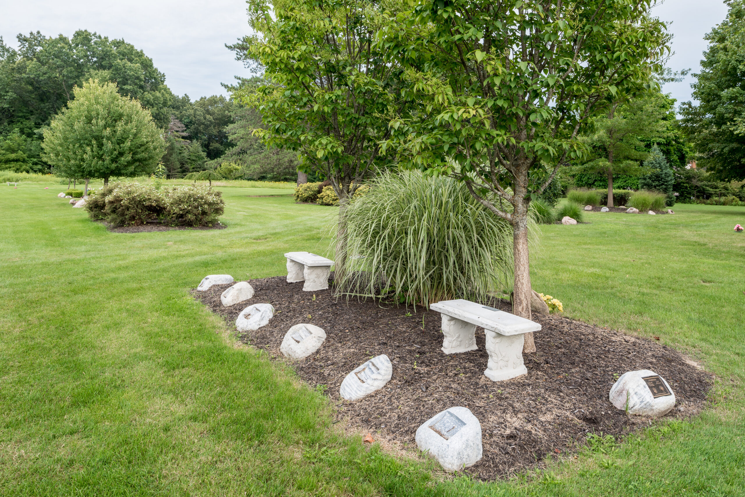 Options for Burial
